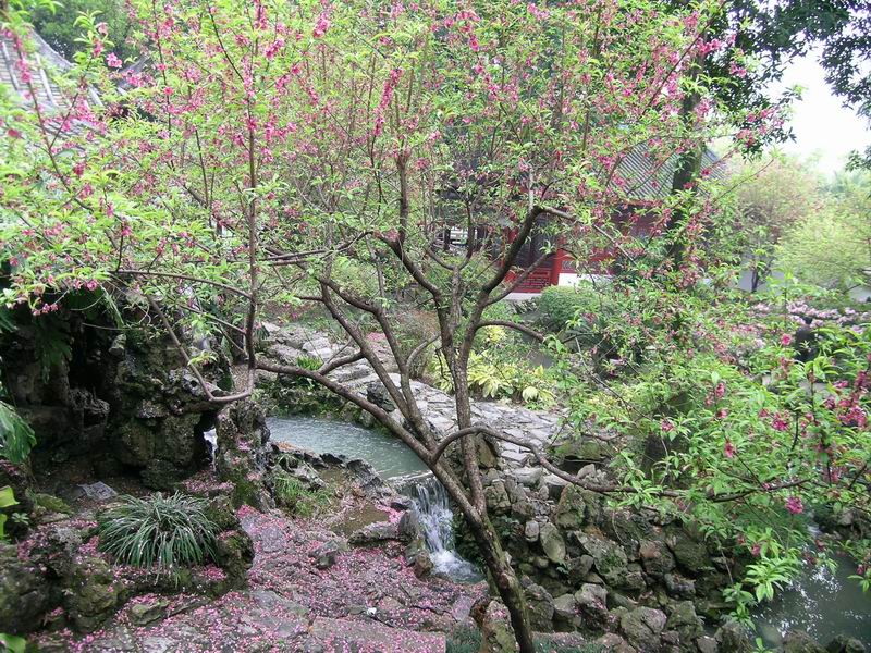 D0XTR205114220.jpg